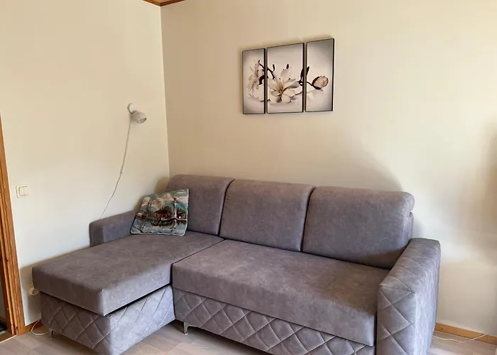 Papli Near The * 페르누